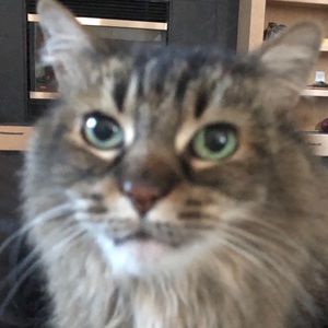 Meet your Posher, Holly